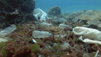 Deborah Cabau pluto in waterman voorspellingen - plastic afval onder water